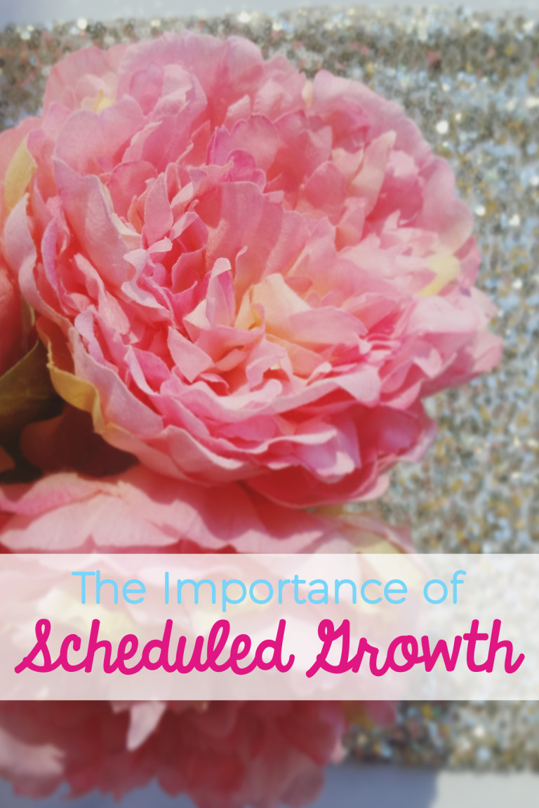 the-importance-of-scheduled-growth-mama-plus-one