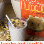 Hamster Food Smoothies: A Human Treat for Humans who Love Hamsters